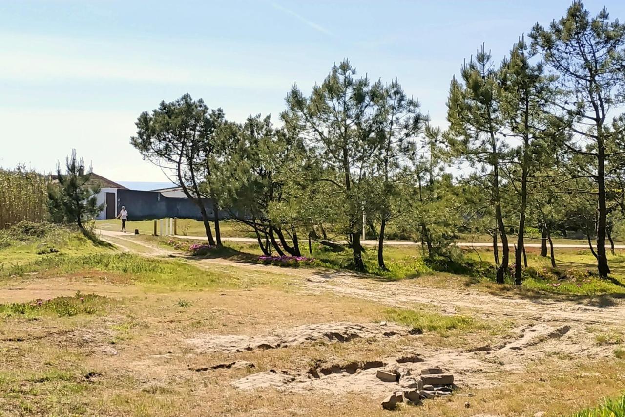 Solario Dos Pinheiros - Pines Solarium Villa Esposende Buitenkant foto