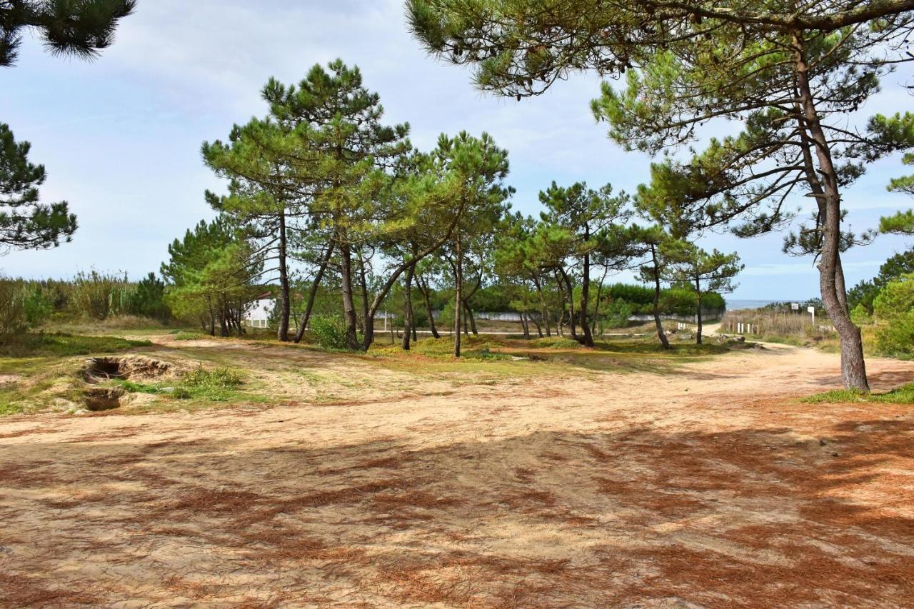 Solario Dos Pinheiros - Pines Solarium Villa Esposende Buitenkant foto